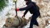 Image result for "Раманенка"