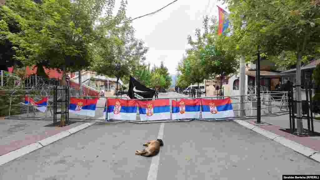 Zastave Srbije u Zvečanu