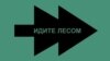 Запущен проект «Идите лесом» для бегущих от мобилизации россиян