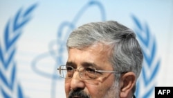 علی‌اصغر سلطانیه، نماینده جمهوری اسلامی در آژانس بین المللی انرژی اتمی