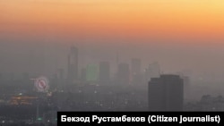 Ташкент