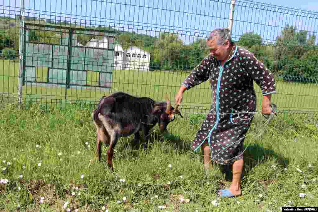 Moldova, Oameni și locuri din Ciuciuleni, raionul Hâncești, iulie 2020
