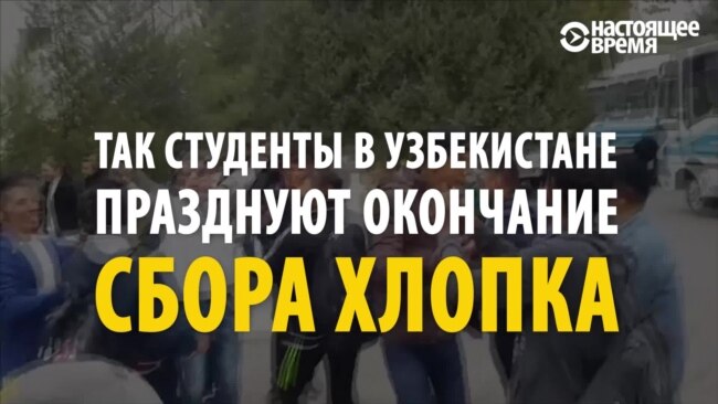 Узбекские студенты празднуют окончание сбора хлопка