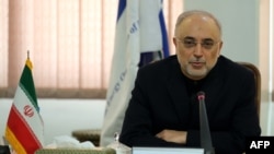 علی‌اکبر صالحی٬ رئیس سازمان انرژی اتمی ایران