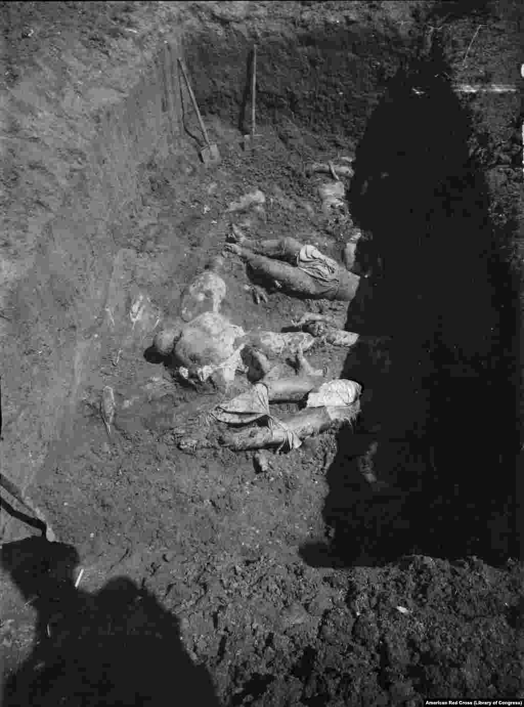 Тела, обнаруженные в 1919 году в Харькове после того, как Белая армия освободила город от большевиков. Точных данных о количестве погибших в Гражданской войне нет, но историки сходятся в оценках, что это миллионы человек 