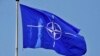 Neutralnost skuplja od članstva u NATO