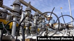 عکس تزئینی است