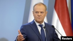 Լեհաստանի վարչապետ Դոնալդ Տուսկ, արխիվ