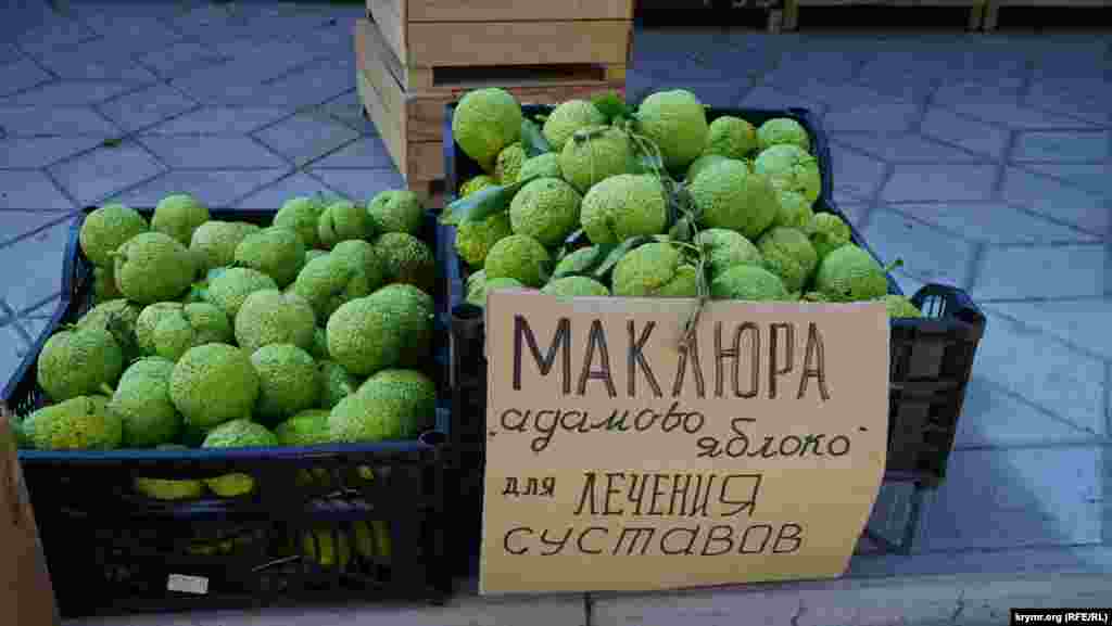 Вот она – маклюра