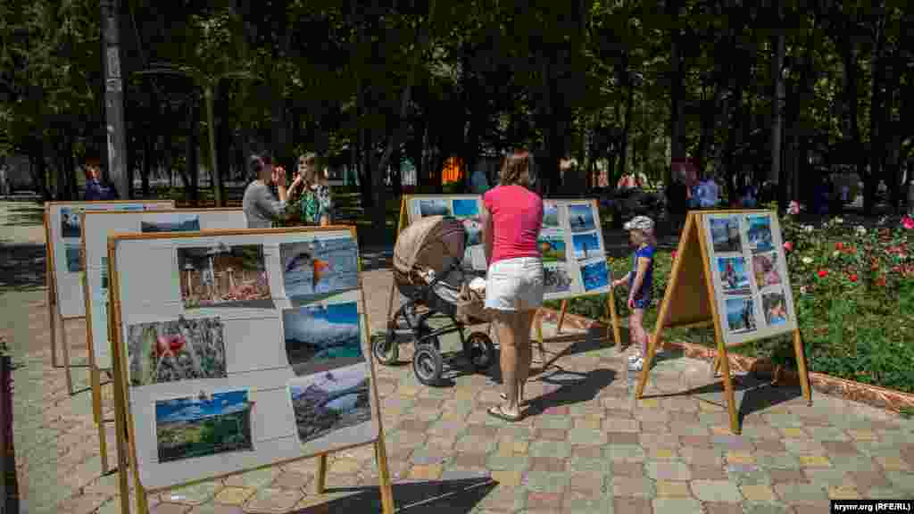 На стендах – десятки фото. На всех изображен Симферополь