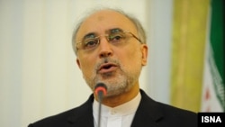 علی‌اکبر صالحی، وزیر خارجه جمهوری اسلامی.
