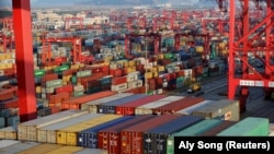 بندر یانگشان در منطقه آزاد تجاری شانگاهای