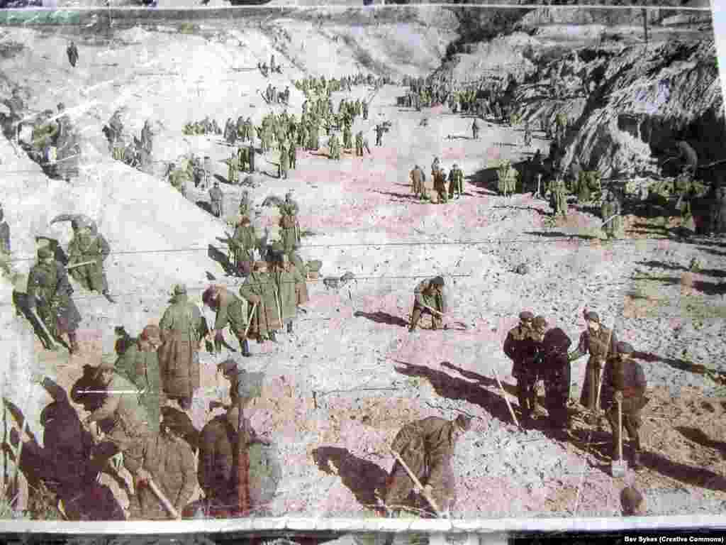 Советские военнопленные в овраге после расстрелов. Бабий Яр нацисты использовали как место для казней советских военнопленных, цыган и других «нежелательных».