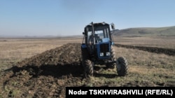 По словам экономистов, землепользование и сельское хозяйство в Грузии находятся не то что на уровне прошлого, но и XIX века. Необходимо инвестирование средств не только в обработку земель, но и в человеческий капитал