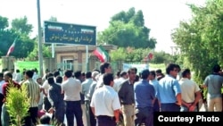 تعدادی از کارگران شرکت نيشکر هفت تپه خرداد ماه اعضای هيات سنديکای کارگری خود را انتخاب کردند.