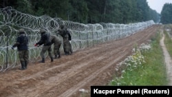 Польшалык чек арачылар Беларус менен чек араны бекемдеп жатышат. 26-август, 2021-жыл. Номики айылы.