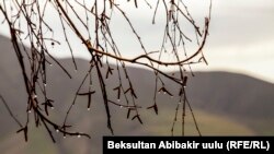Кашка-Суу айылы, Чүй облусу. 2017-жыл.
