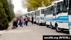 Источники «Озодлика» сообщают, что сбор хлопка в Узбекистане продолжает проходить с использованием принудительного труда. 
