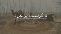 د کرښې پر غاړه