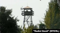 Тажик-ооган чек арасы. Архив.