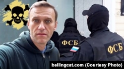 Алексей Навальный