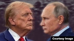 Дональд Трамп, Владимир Путин. Коллаж