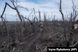 Украинский военный недалеко от Клещеевки, март 2024 года